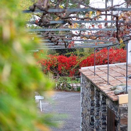 Ourmadeira - Loja Da Lenha, Charming Apartment Фуншал Екстериор снимка