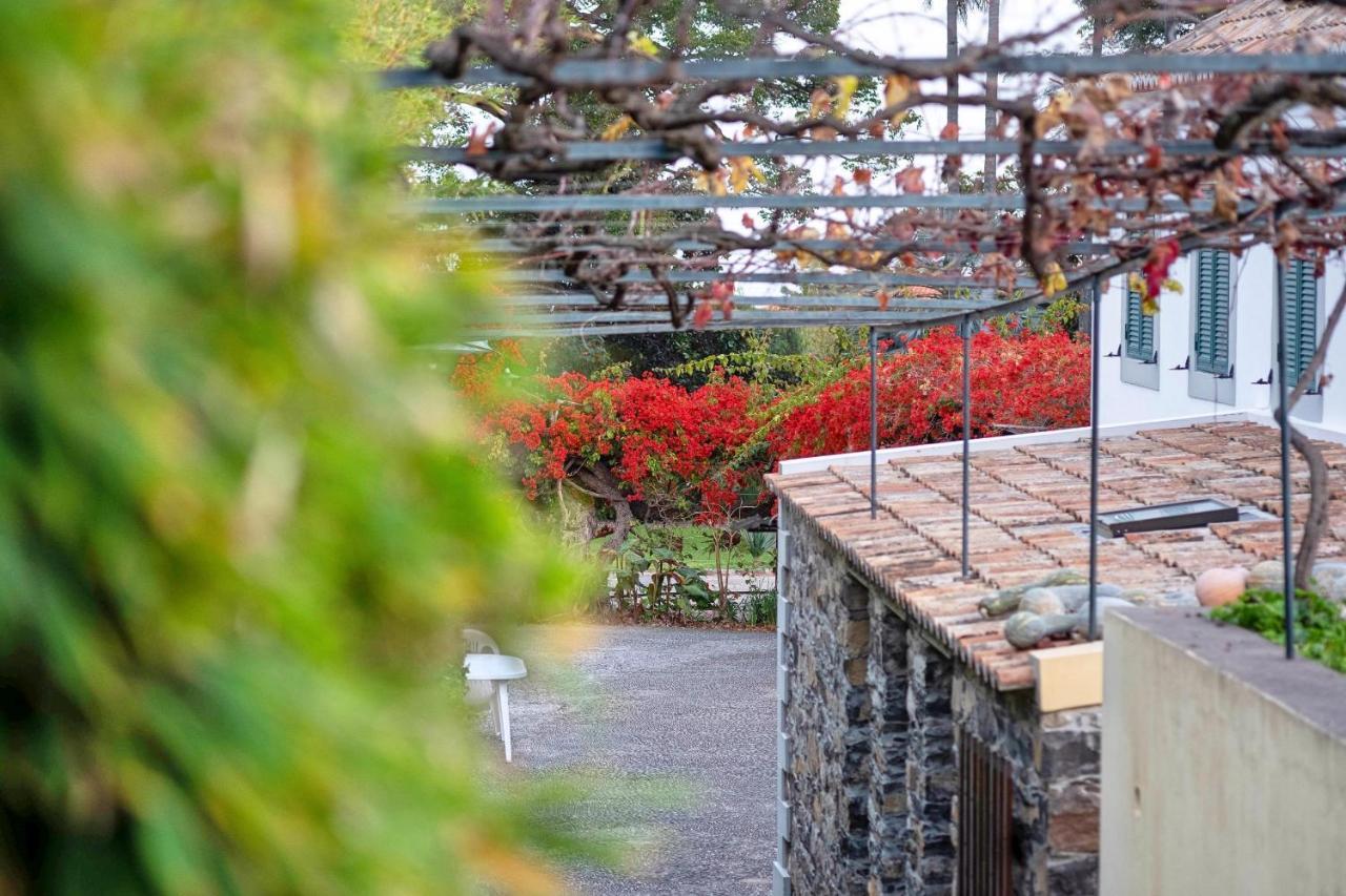 Ourmadeira - Loja Da Lenha, Charming Apartment Фуншал Екстериор снимка